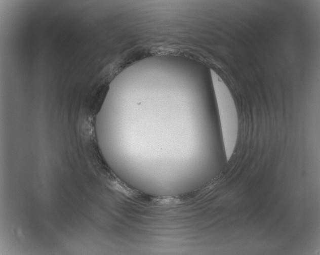 X0000068260621200604210916