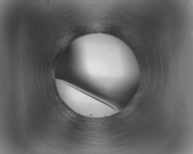 X0000068260624200604210916