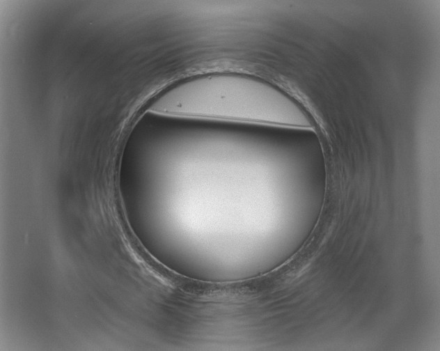 X0000068260625200604210915