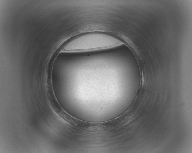 X0000068260627200604210915
