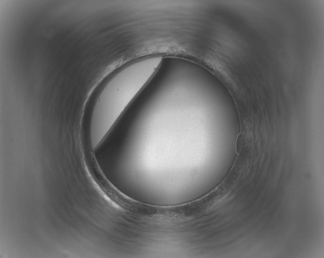 X0000068260630200604210915