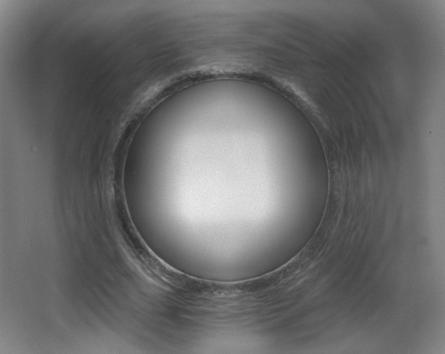 X0000068260631200604210915