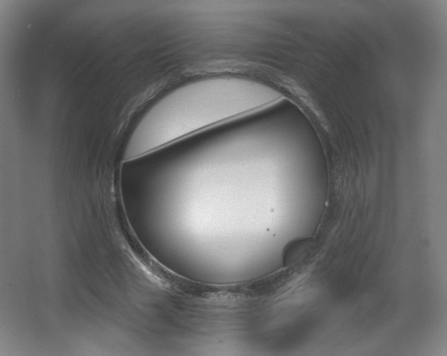 X0000068260633200604210915