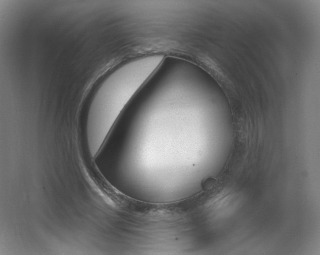 X0000068260634200604210915