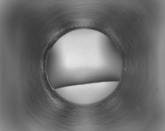 X0000068260636200604210915