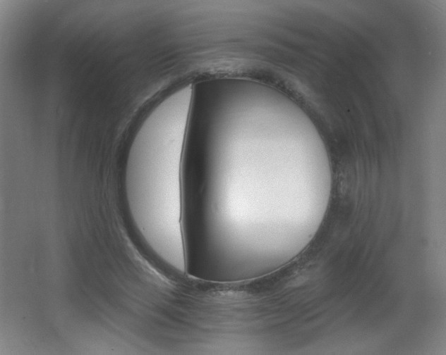 X0000068260637200604210915