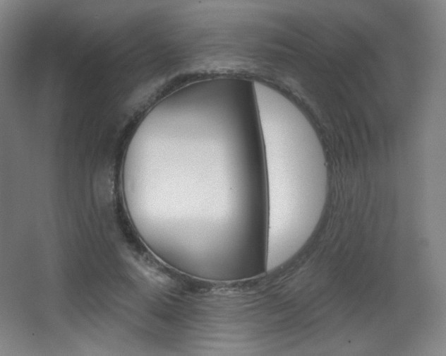 X0000068260640200604210915