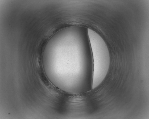 X0000068260643200604210915