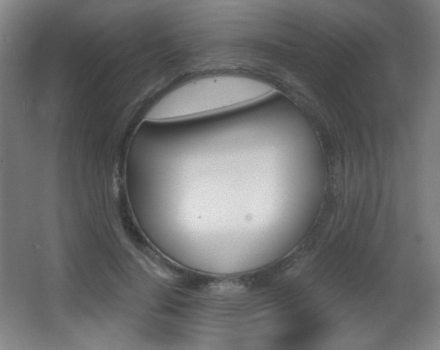 X0000068260644200604210915