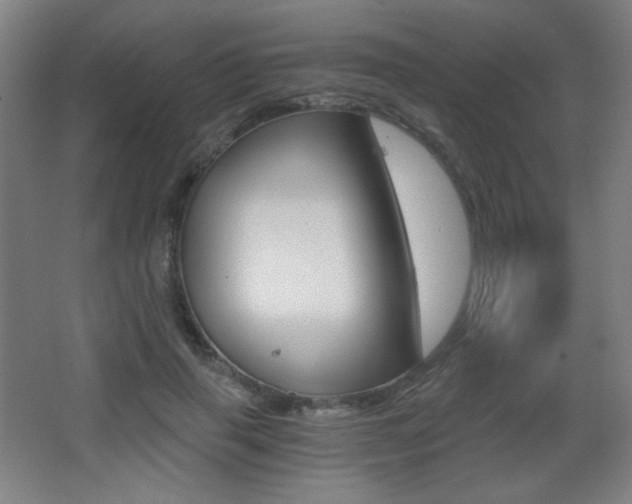 X0000068260645200604210915