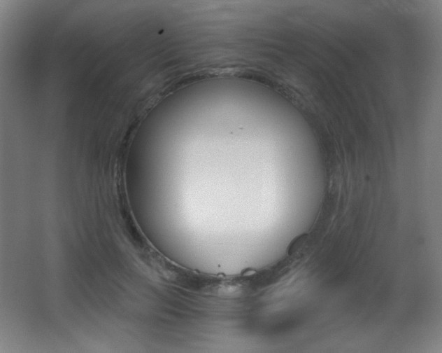 X0000068260647200604210915