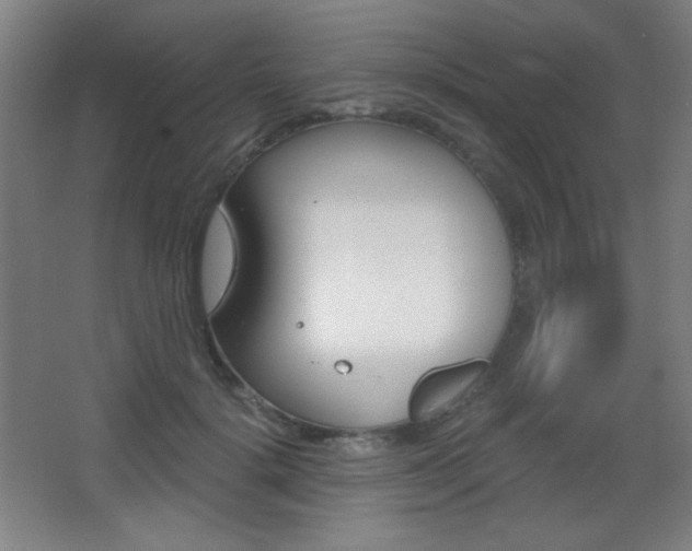 X0000068260652200604210915