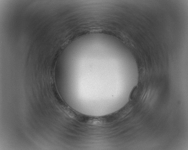 X0000068260655200604210915