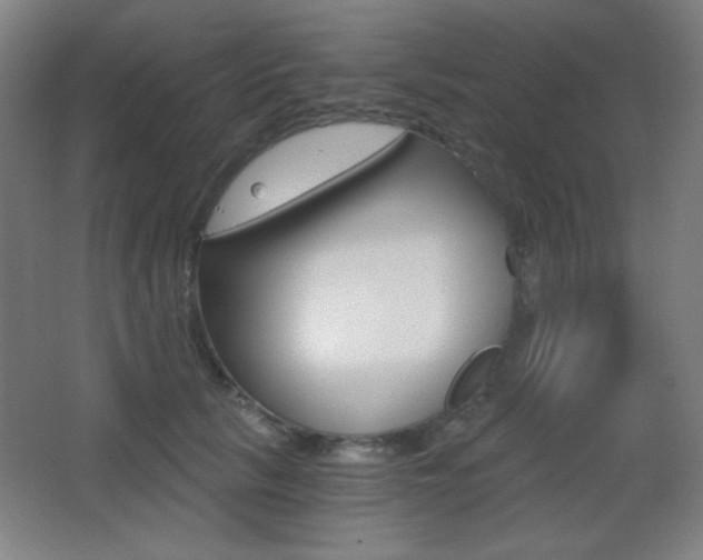 X0000068260657200604210915