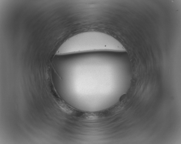 X0000068260658200604210916