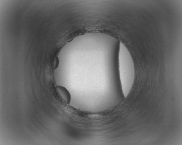 X0000068260659200604210916