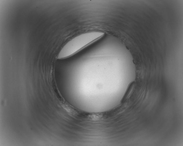 X0000068260660200604210916