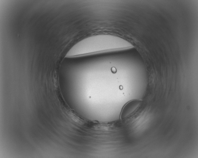 X0000068260661200604210916