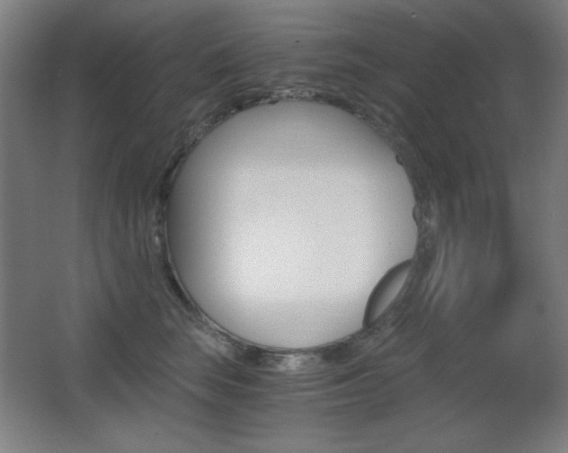 X0000068260663200604210916