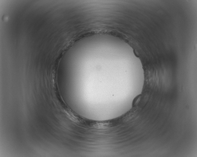 X0000068260664200604210916