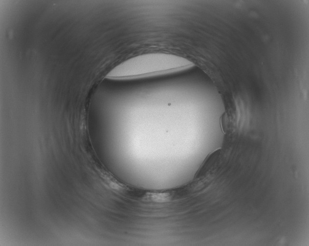 X0000068260665200604210916