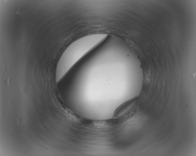 X0000068260666200604210916