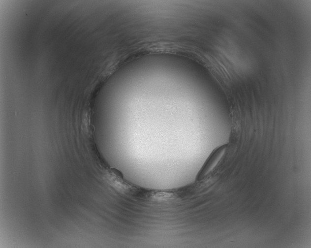 X0000068260669200604210916