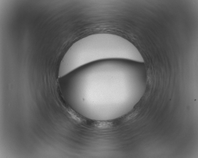 X0000068260670200604210916
