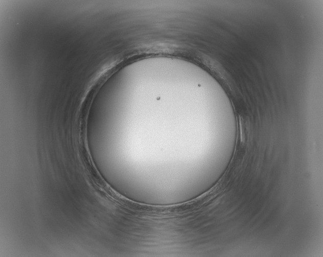 X0000068260675200604210915