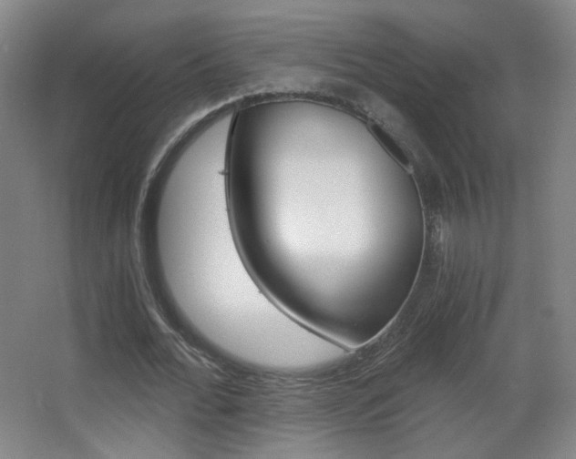 X0000068260676200604210915