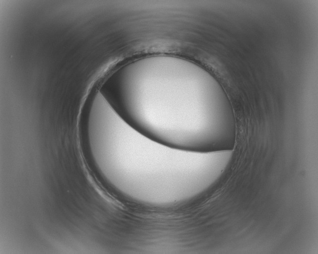 X0000068260678200604210915