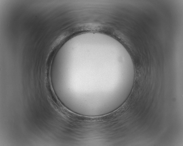 X0000068260679200604210915