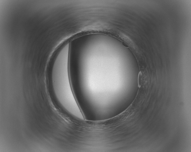 X0000068260680200604210915
