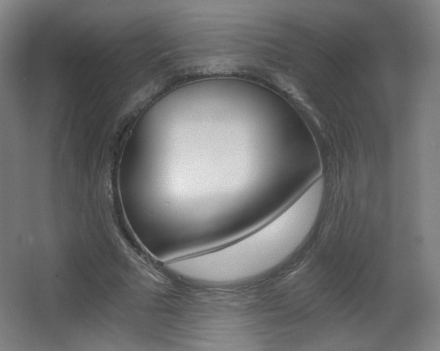 X0000068260681200604210915