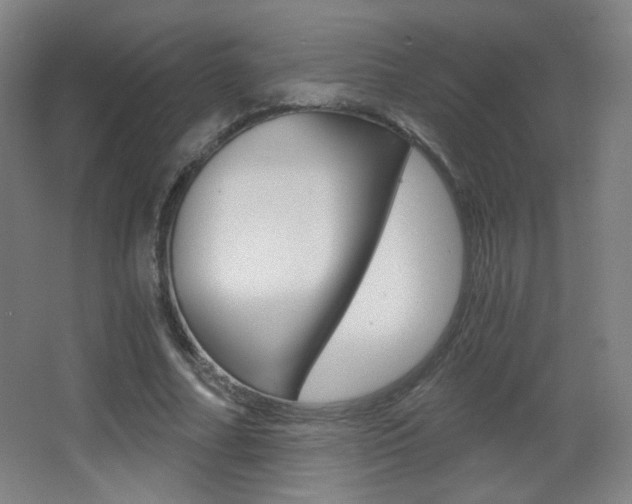 X0000068260682200604210915