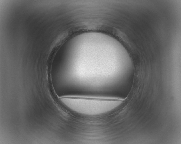 X0000068260685200604210915