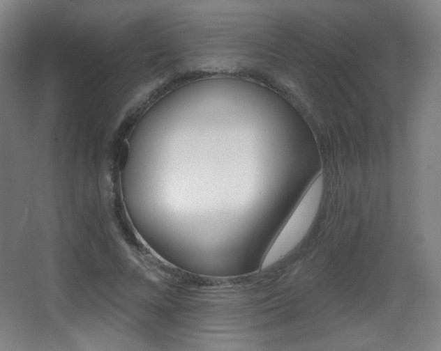 X0000068260688200604210915