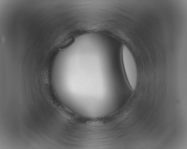 X0000068260689200604210915