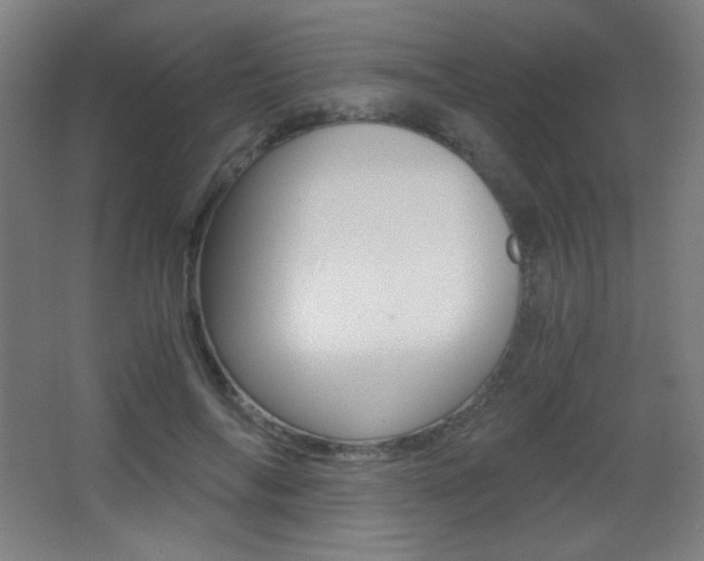 X0000068260694200604210915