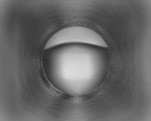 X0000068260696200604210915