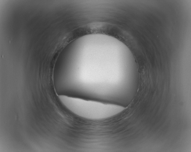 X0000068260698200604210915