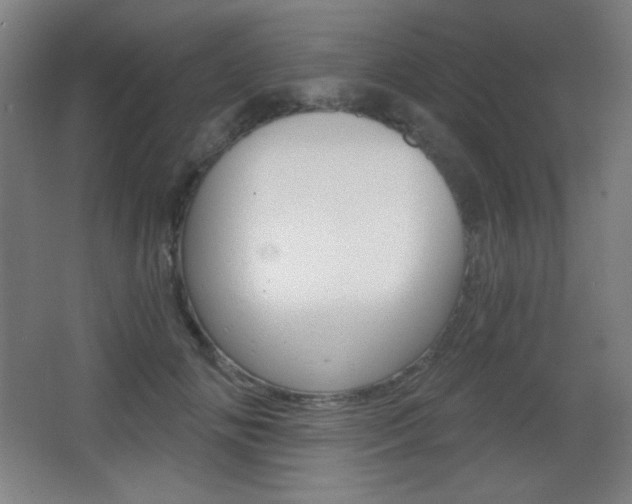 X0000068260702200604210914