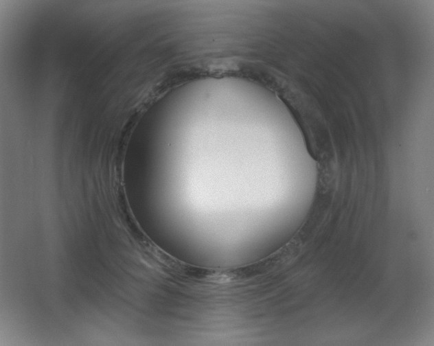 X0000068260704200604210914