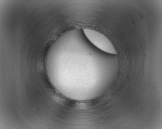 X0000068260706200604210914