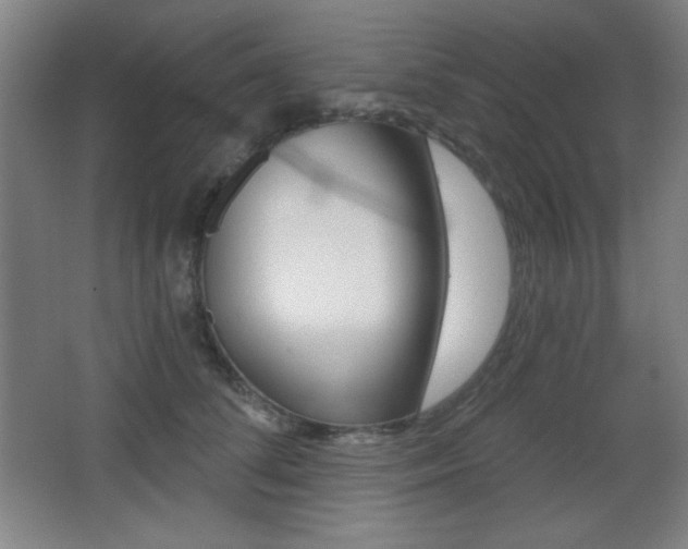 X0000068260708200604210914