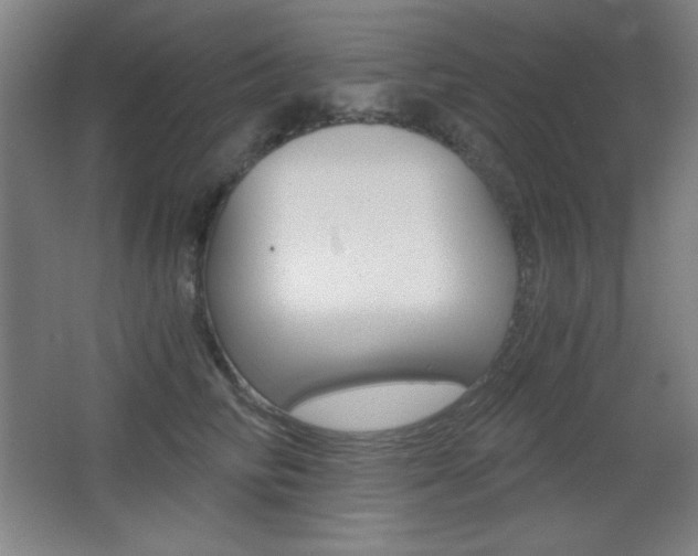 X0000068260710200604210914
