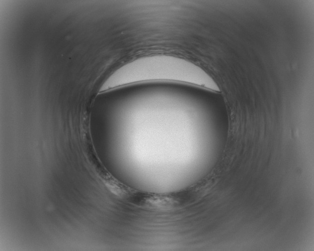 X0000068260712200604210914