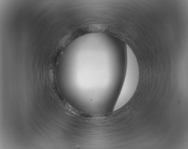 X0000068260716200604210914