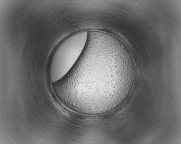 X0000068260725200604210913