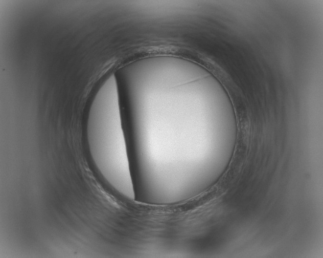 X0000068260729200604210913